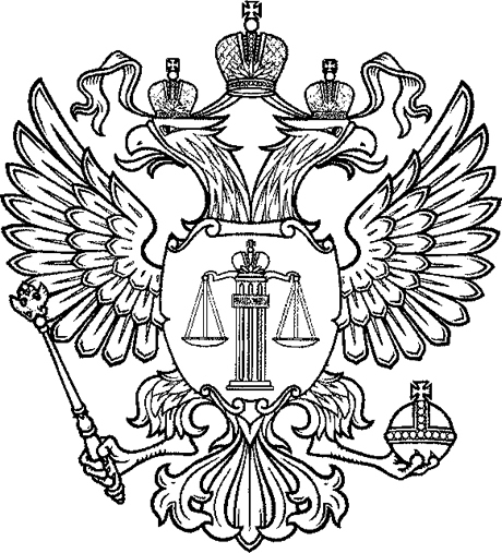 Контур эмблемы ВС РФ